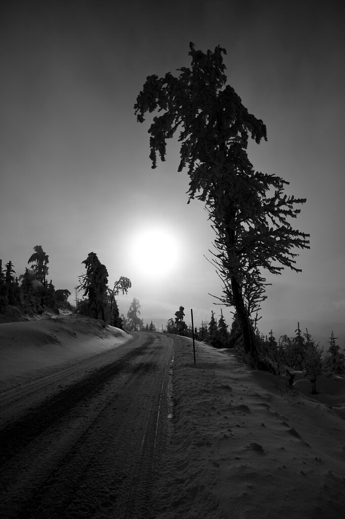 Col du Donon