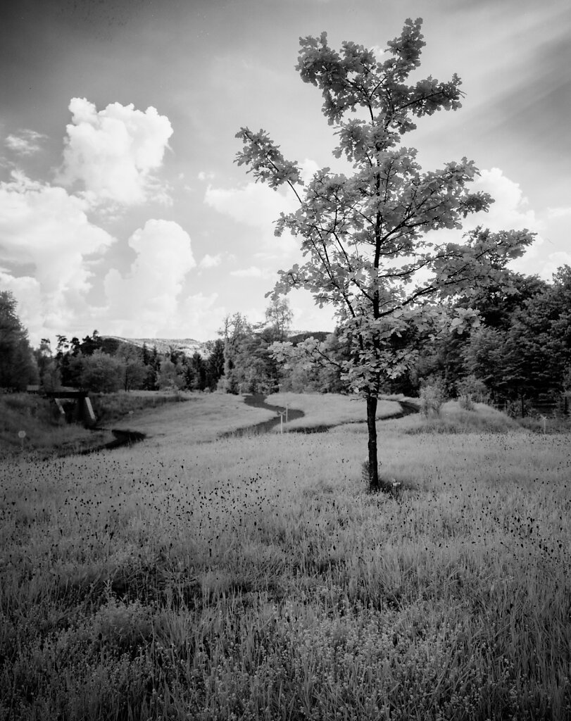Circuit du Tortillard (4x5'' IR400)