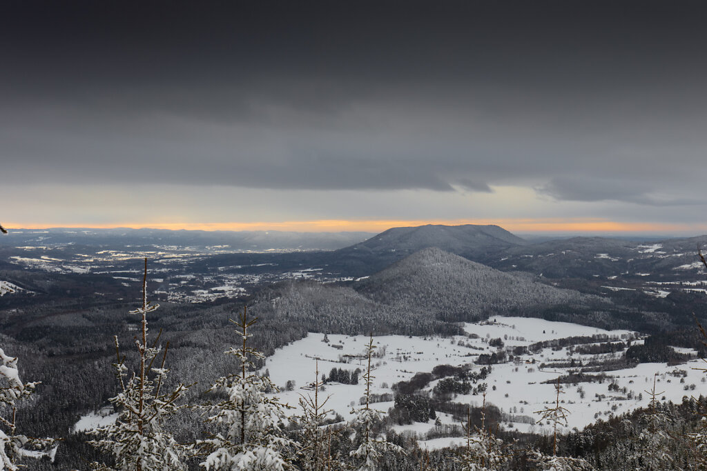 Vosges