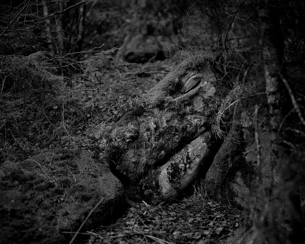 Le serpent pétrifié II