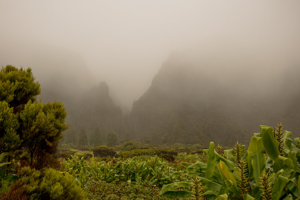 Açores