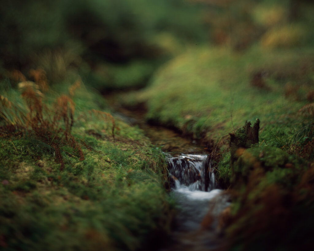15112022-Image-014.jpg
