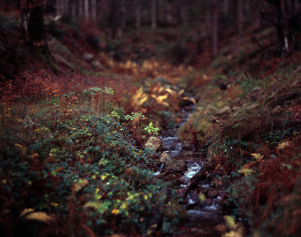 28112022-Image-011.jpg