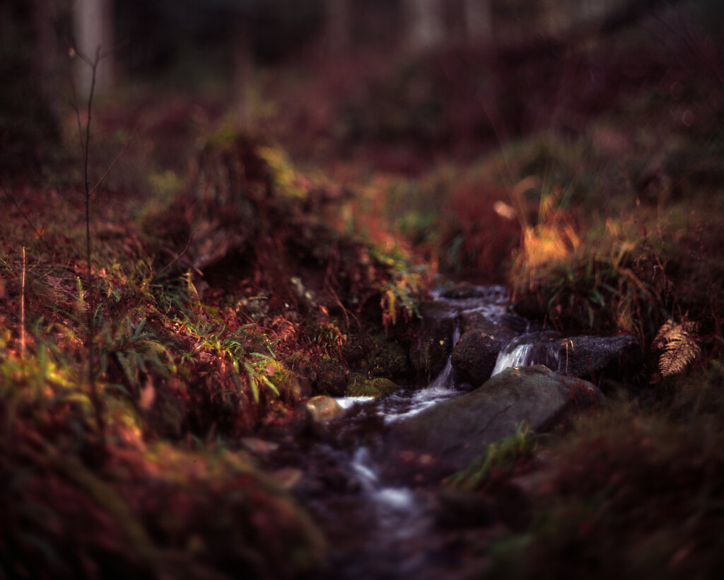 28112022-Image-013.jpg