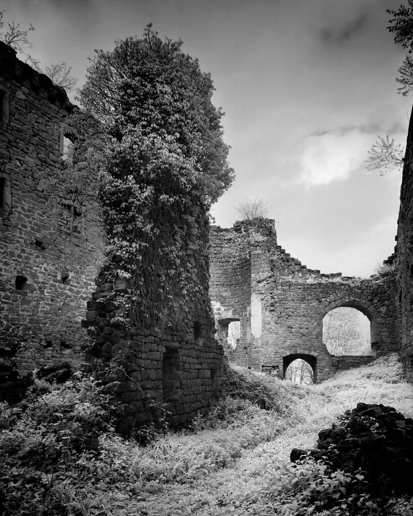 Château de Lutzelbourg