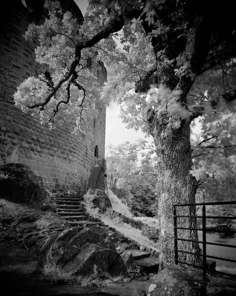 Château du Spesbourg