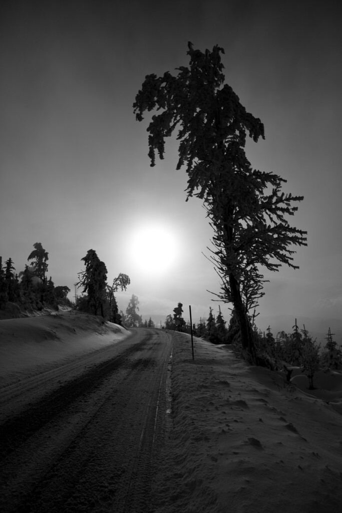 Col du Donon